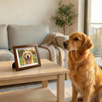Lumeo 10-inch HD Wi-Fi Digital Photo Frame
